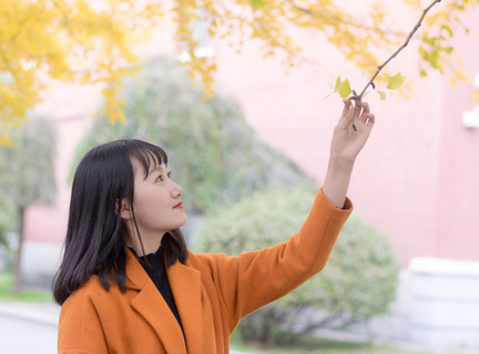 菲律宾科技大学排名第几